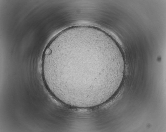 X0000116550839201001211200