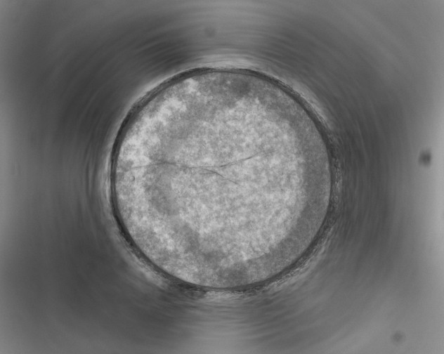 X0000116550840201001211200