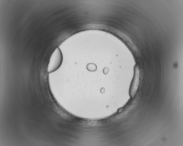 X0000116550841201001211200