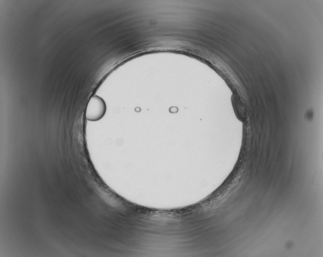 X0000116550842201001211200