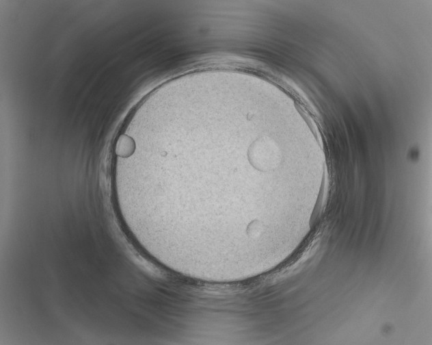 X0000116550843201001211200