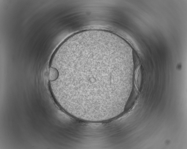 X0000116550844201001211200