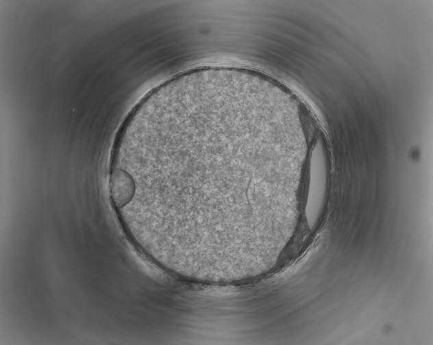 X0000116550845201001211200