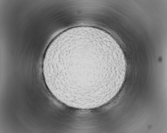 X0000116550846201001211200