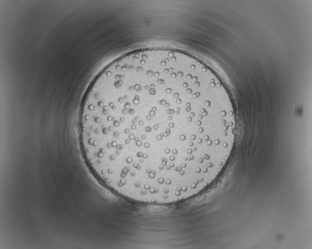 X0000116550847201001211200