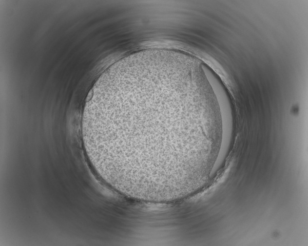 X0000116550849201001211200