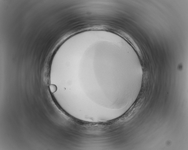 X0000116550851201001211200