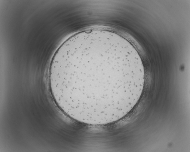 X0000116550852201001211200