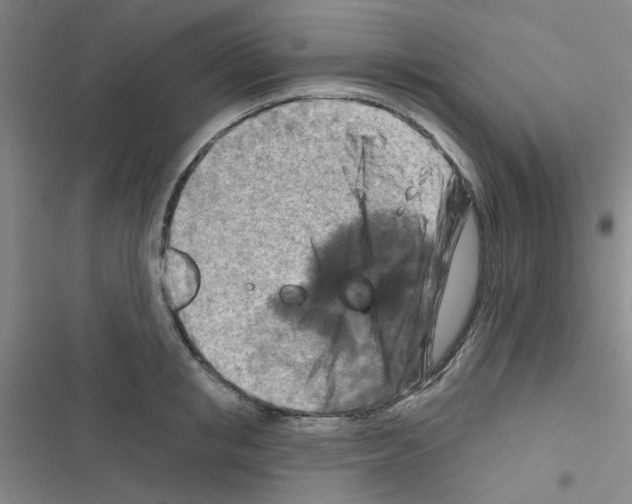 X0000116550853201001211200