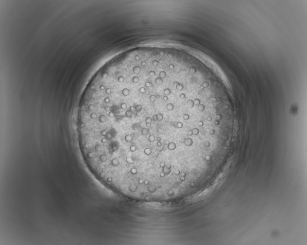 X0000116550855201001211200