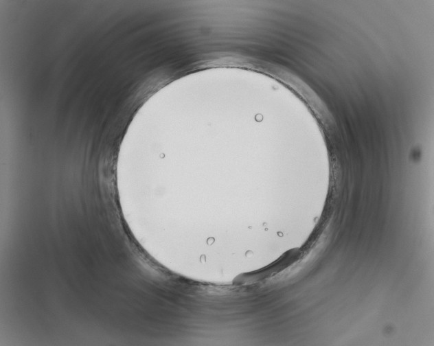 X0000116550857201001211200