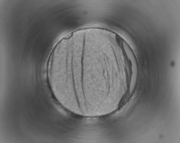 X0000116550858201001211200