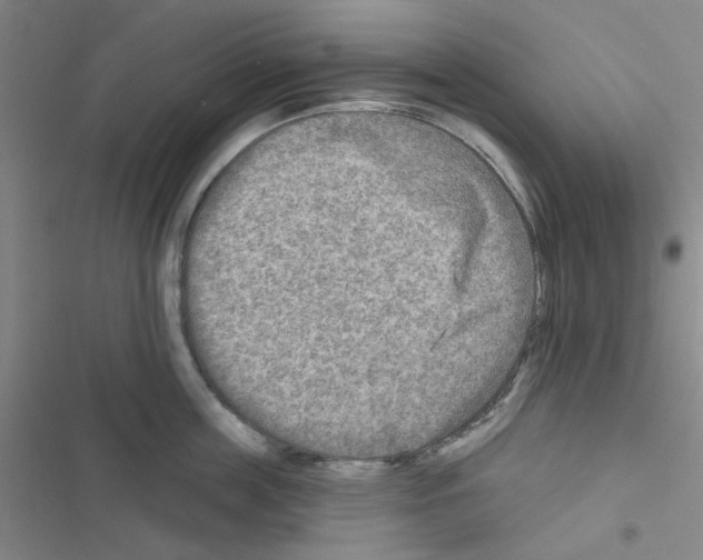 X0000116550859201001211200