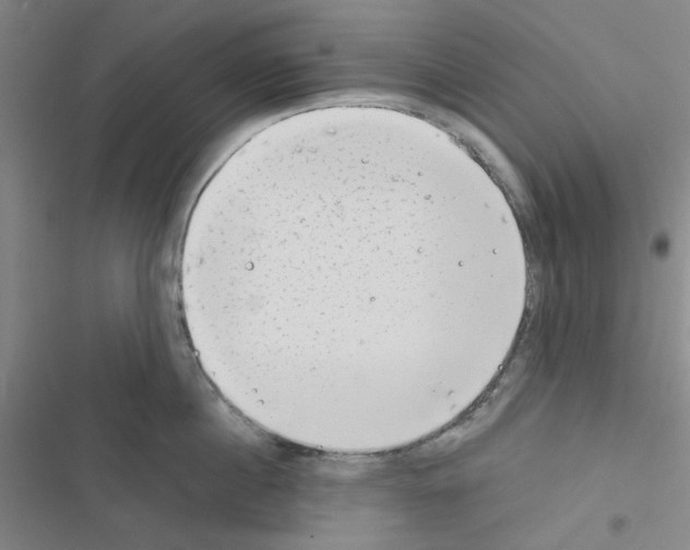 X0000116550860201001211200