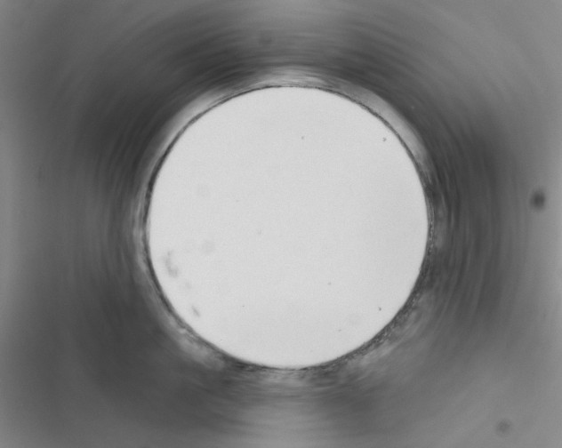 X0000116550861201001211200