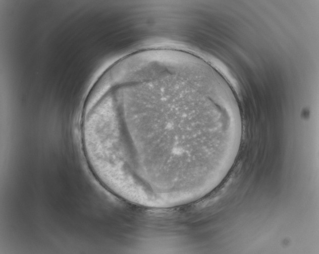 X0000116550863201001211200