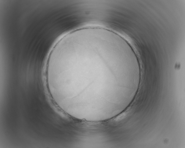 X0000116550864201001211200