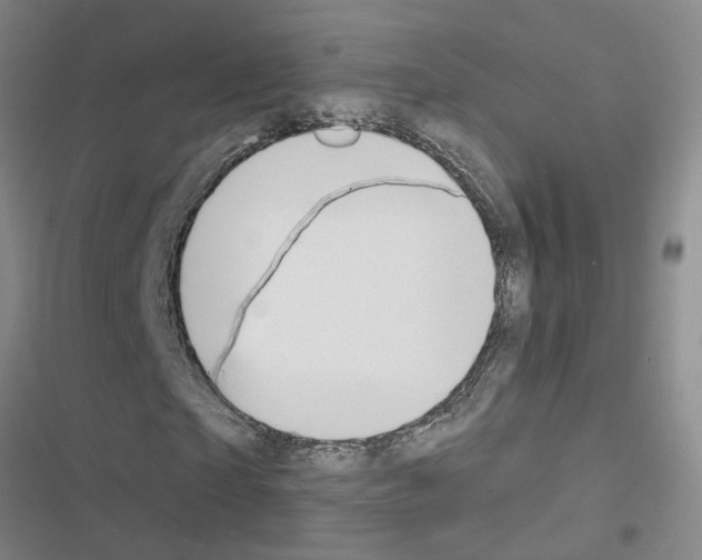 X0000116550865201001211200