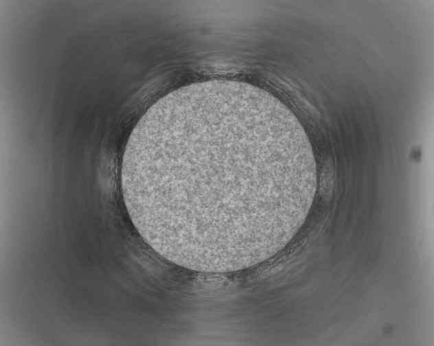 X0000116550866201001211200