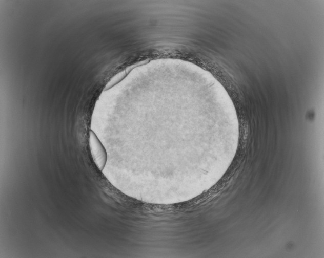 X0000116550868201001211200