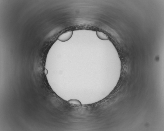 X0000116550869201001211200