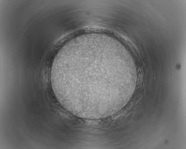 X0000116550870201001211159