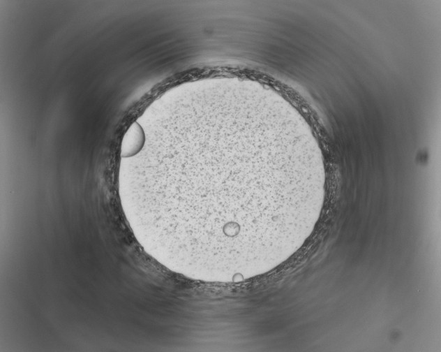 X0000116550871201001211159