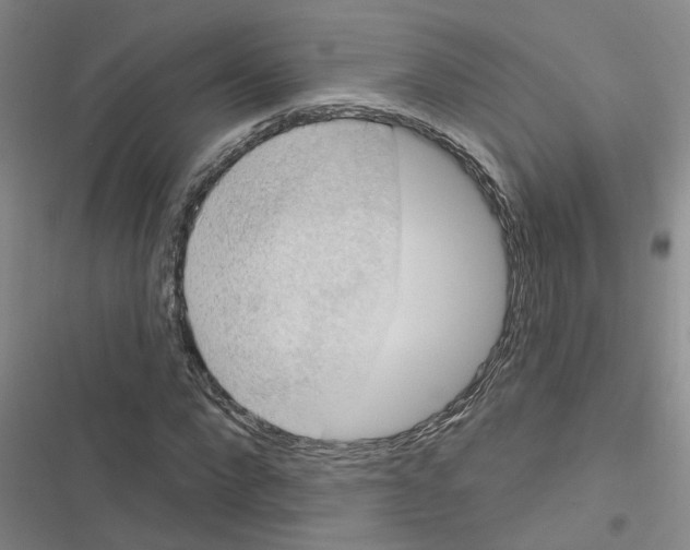 X0000116550872201001211159