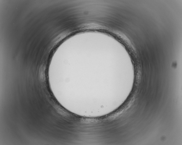 X0000116550873201001211159