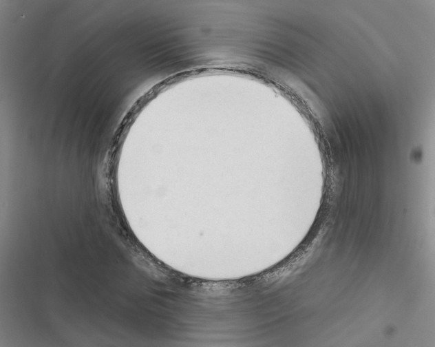 X0000116550875201001211159