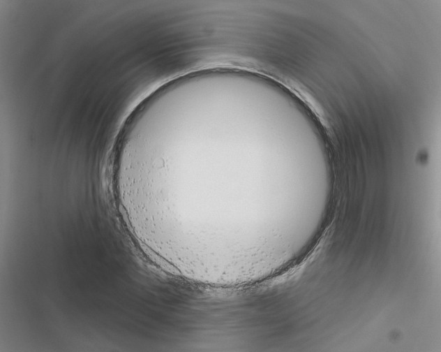 X0000116550877201001211159