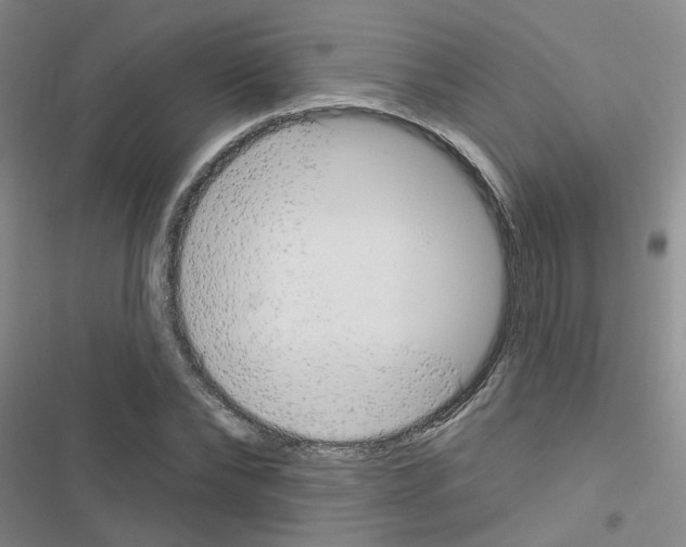 X0000116550878201001211159