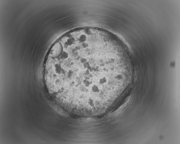 X0000116550879201001211159