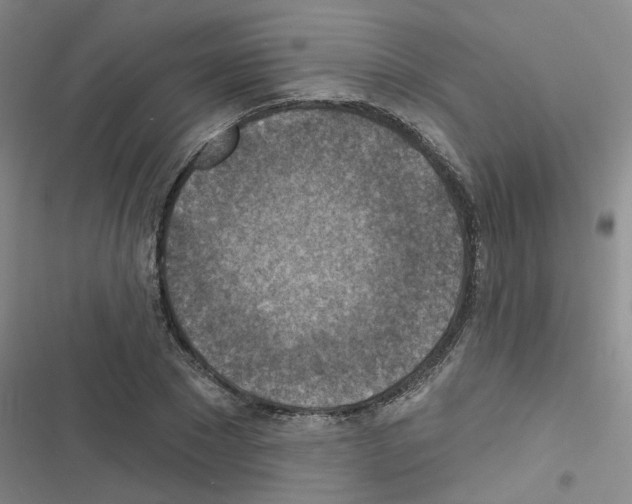 X0000116550881201001211159