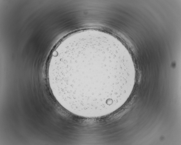 X0000116550883201001211159