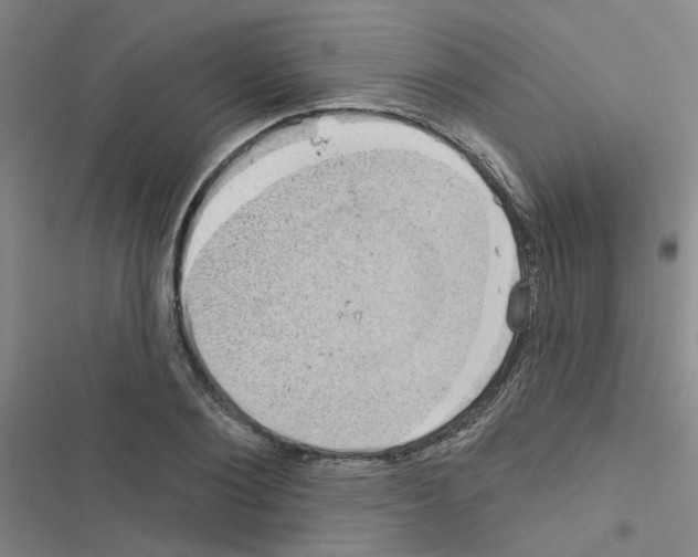 X0000116550884201001211159