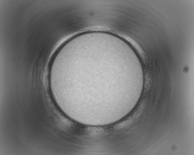 X0000116550886201001211159