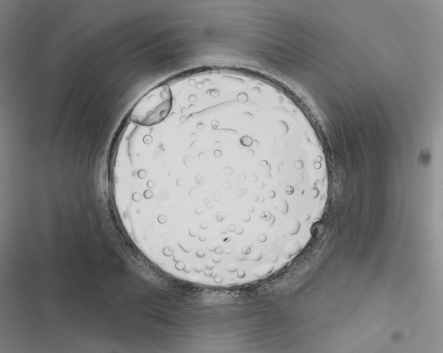 X0000116550887201001211159