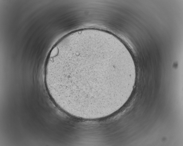 X0000116550888201001211159