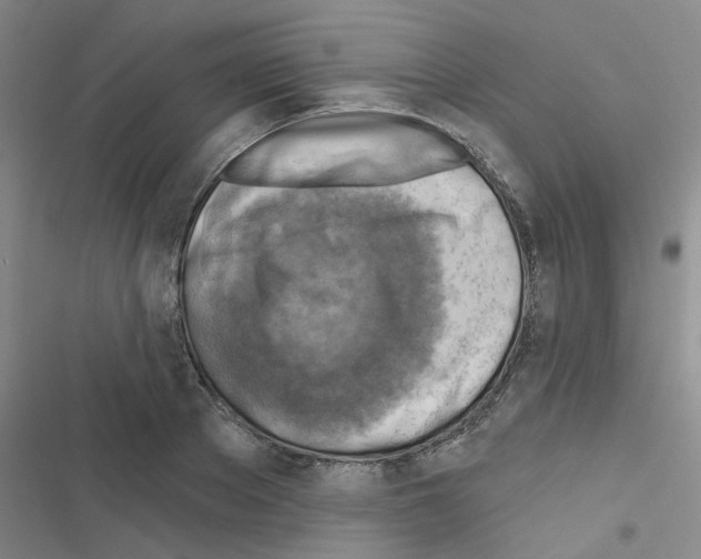 X0000116550889201001211159