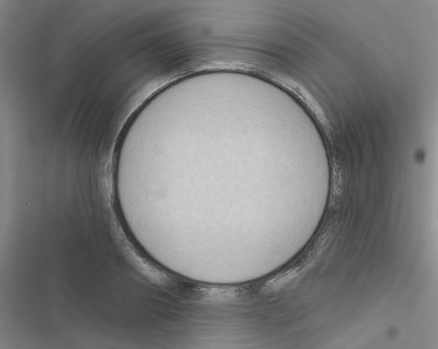 X0000116550890201001211159