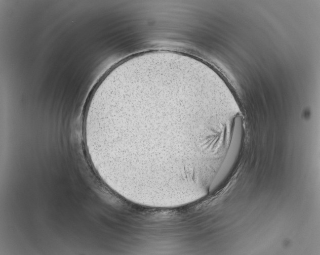 X0000116550891201001211159