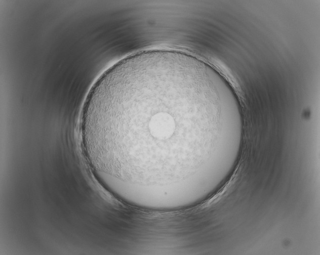 X0000116550892201001211159