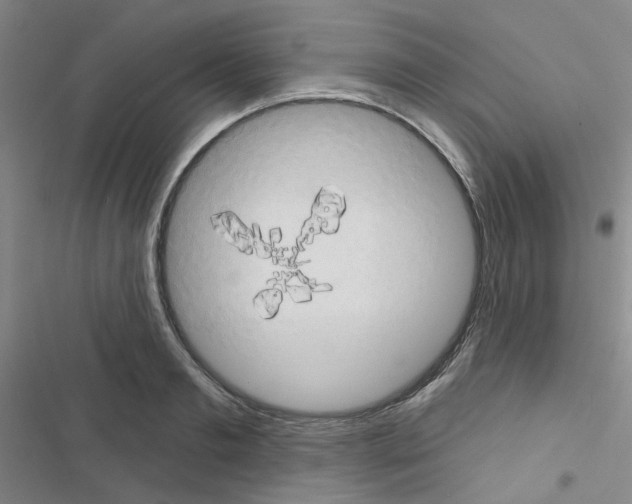 X0000116550893201001211159