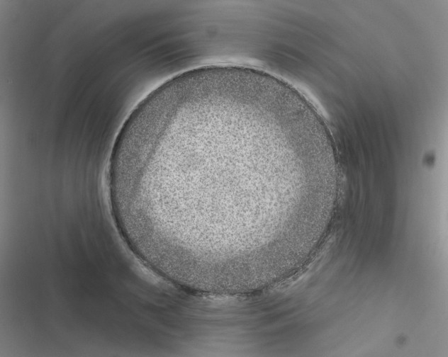 X0000116550895201001211159