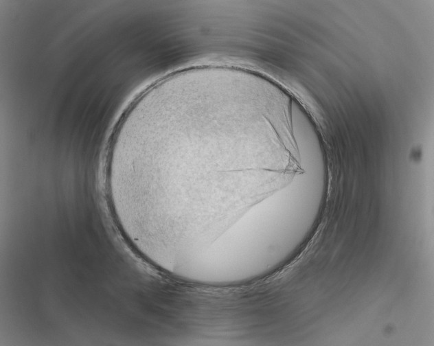 X0000116550896201001211159