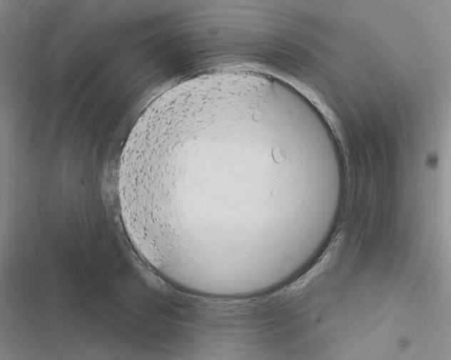 X0000116550897201001211159