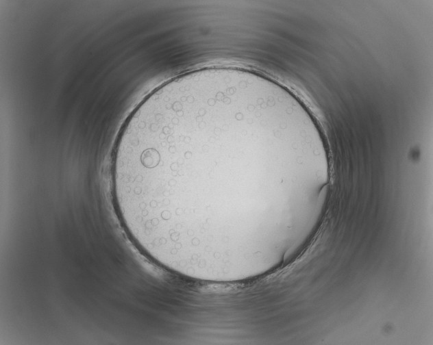 X0000116550898201001211159