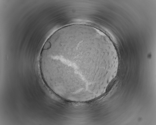 X0000116550899201001211159