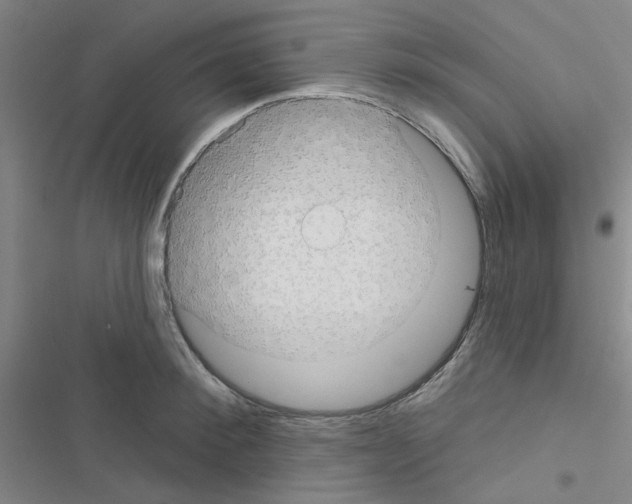 X0000116550900201001211159